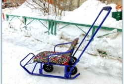 Особенности выбора саней