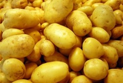 Картофель — всему голова