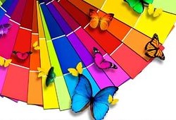 Выбор цвета натяжного полотна