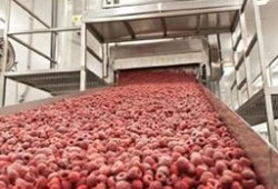 Промышленная заморозка