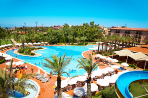 turkey